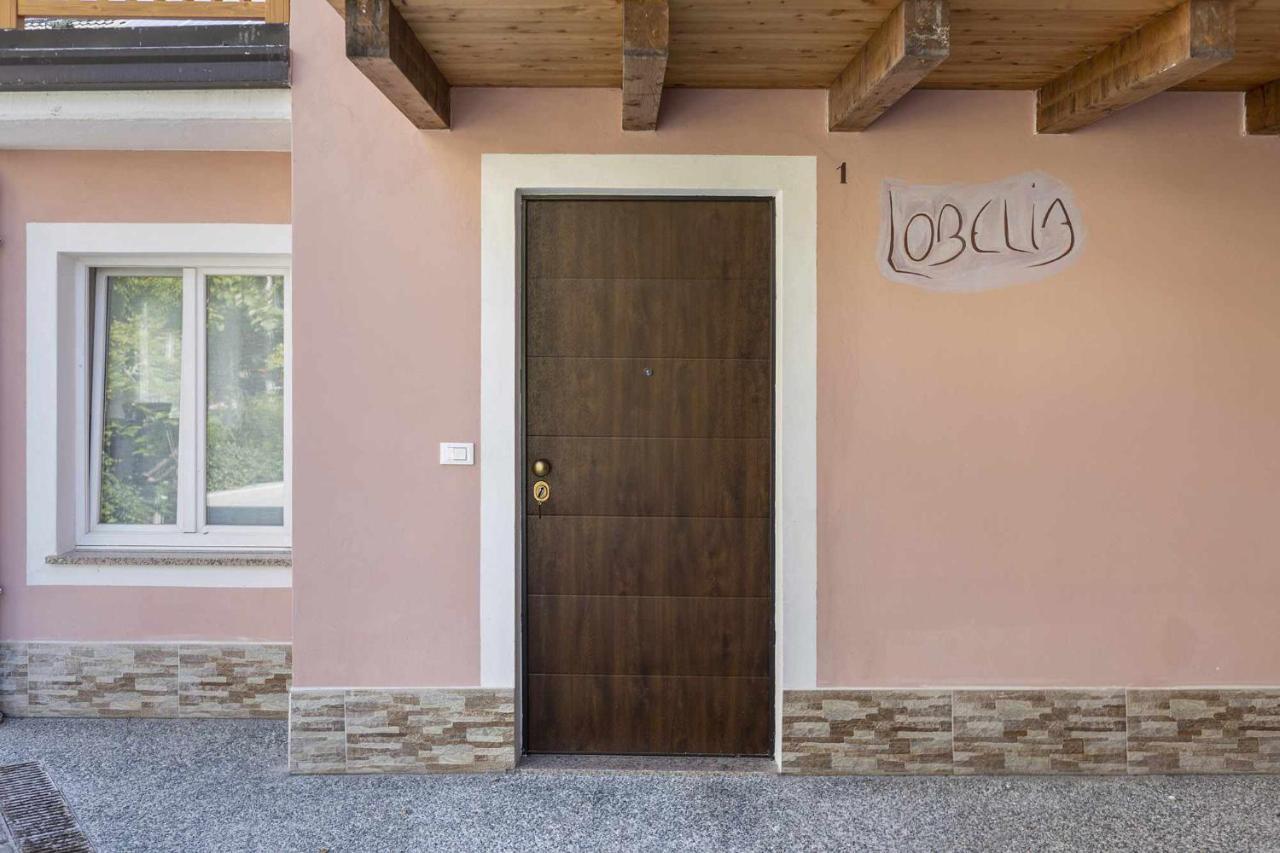 Agritur Horizon Apartment Carzano  Bagian luar foto
